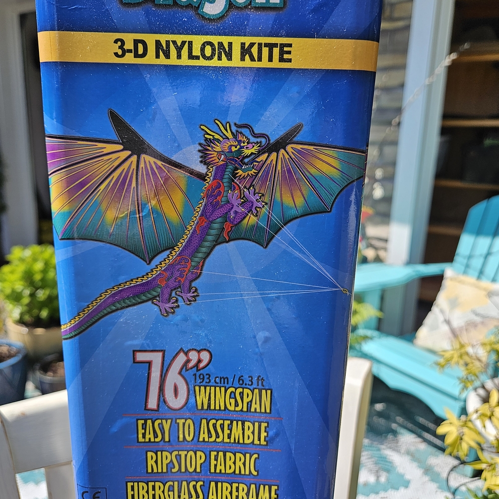 Gayla 3-D Nylon Kite with Dragon Design
